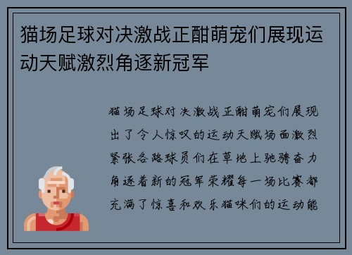 猫场足球对决激战正酣萌宠们展现运动天赋激烈角逐新冠军
