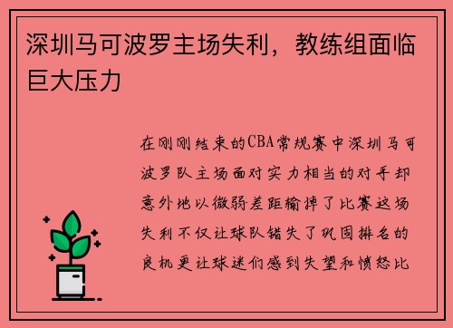 深圳马可波罗主场失利，教练组面临巨大压力