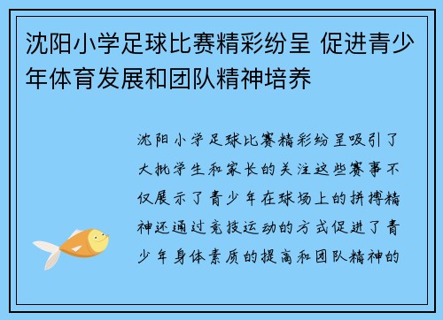 沈阳小学足球比赛精彩纷呈 促进青少年体育发展和团队精神培养