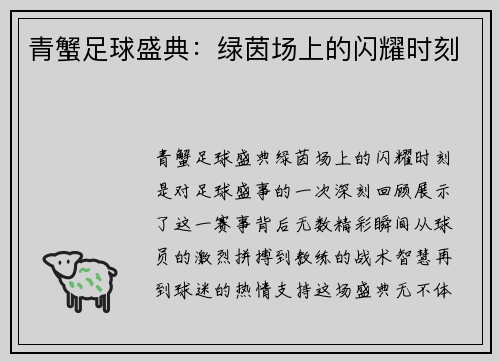 青蟹足球盛典：绿茵场上的闪耀时刻
