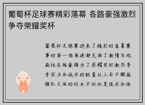 葡萄杯足球赛精彩落幕 各路豪强激烈争夺荣耀奖杯