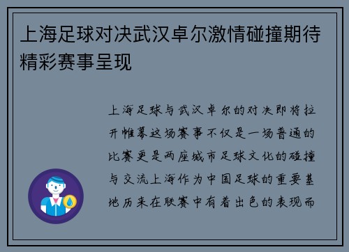 上海足球对决武汉卓尔激情碰撞期待精彩赛事呈现