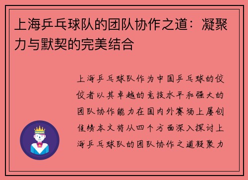 上海乒乓球队的团队协作之道：凝聚力与默契的完美结合